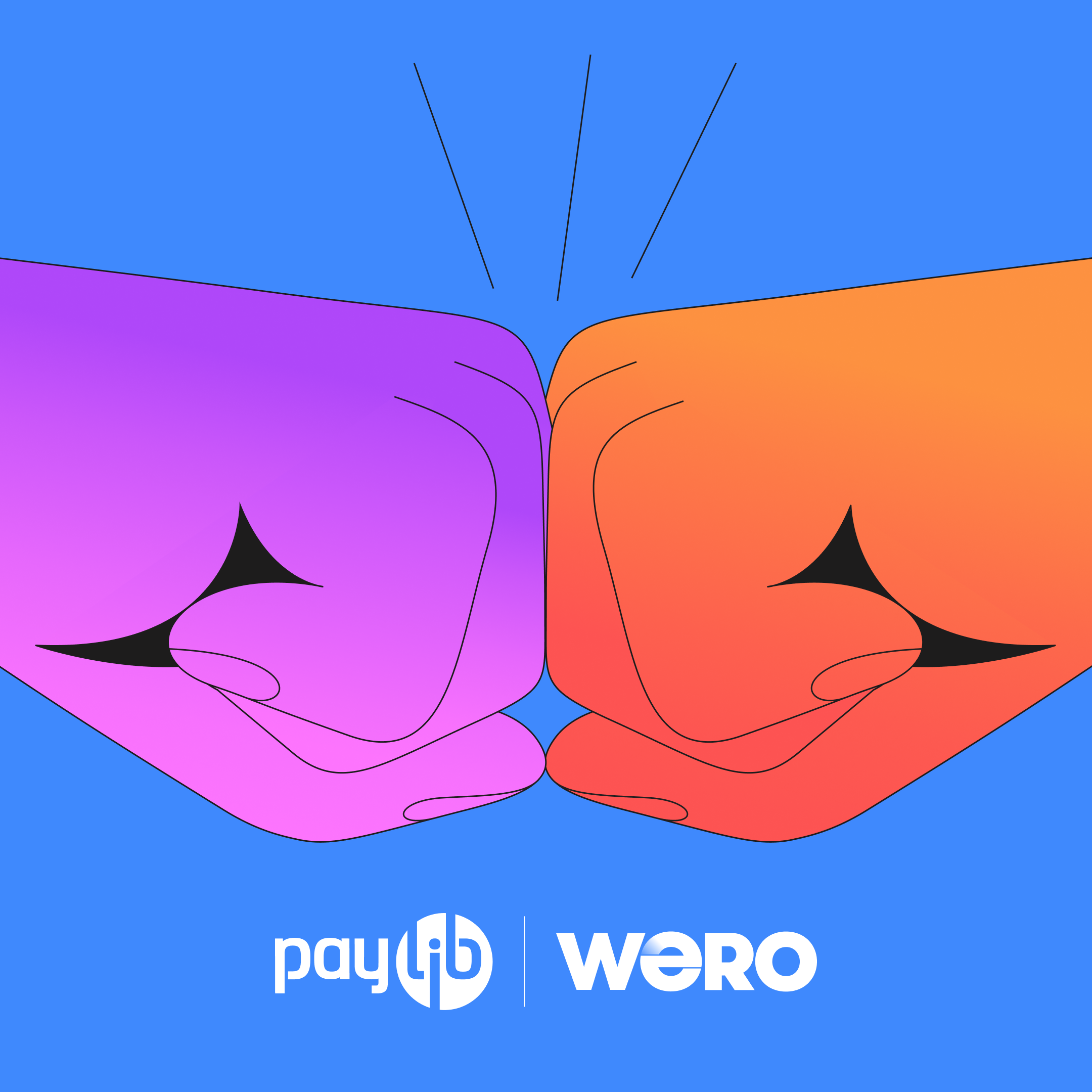 Paylib et Wero